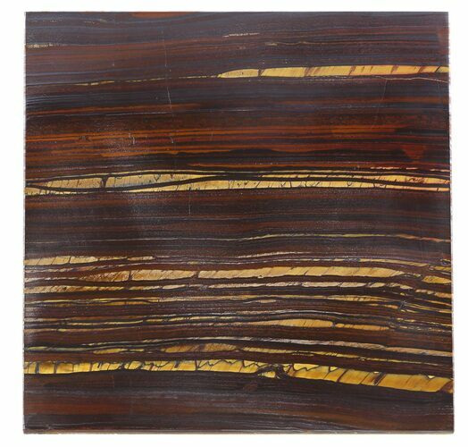 Tiger Iron Stromatolite Shower Tile - Billion Years Old #48784
